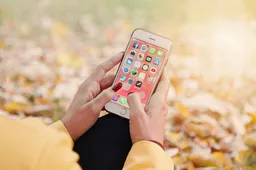 iOS-Forensik mit Belkasoft course image